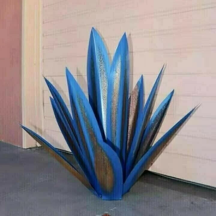 Plantes d'agave de Sherem Metal Tequila