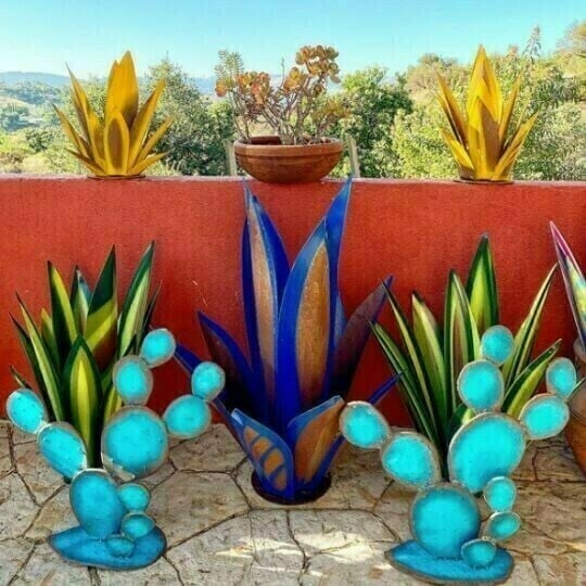 Plantes d'agave de Sherem Metal Tequila