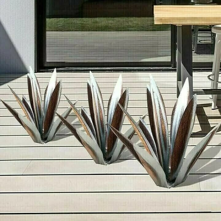 Plantes d'agave de Sherem Metal Tequila