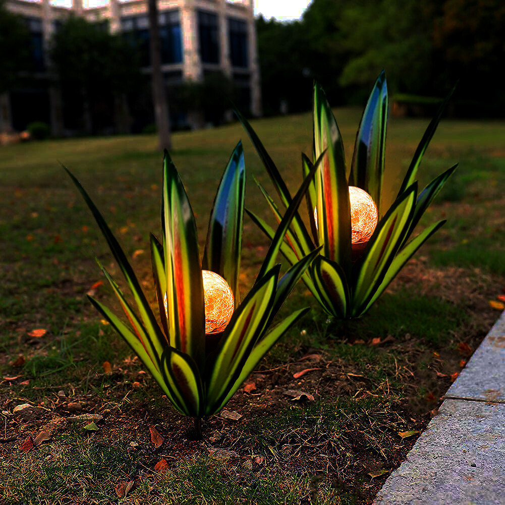 Plantes d'agave de Sherem Metal Tequila