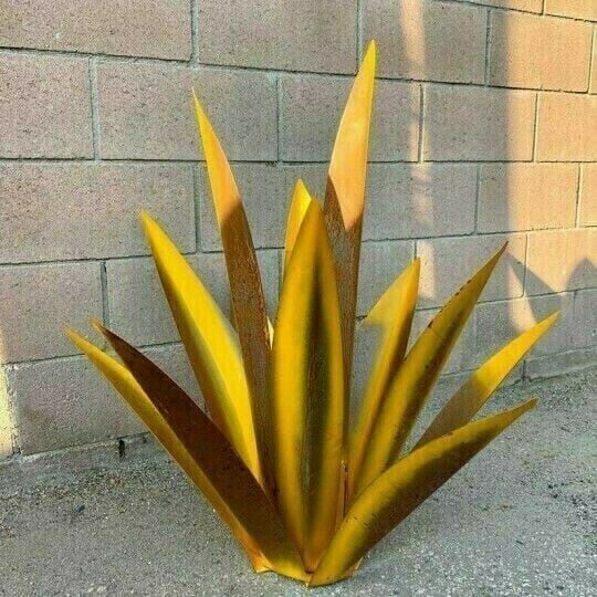 Plantes d'agave de Sherem Metal Tequila