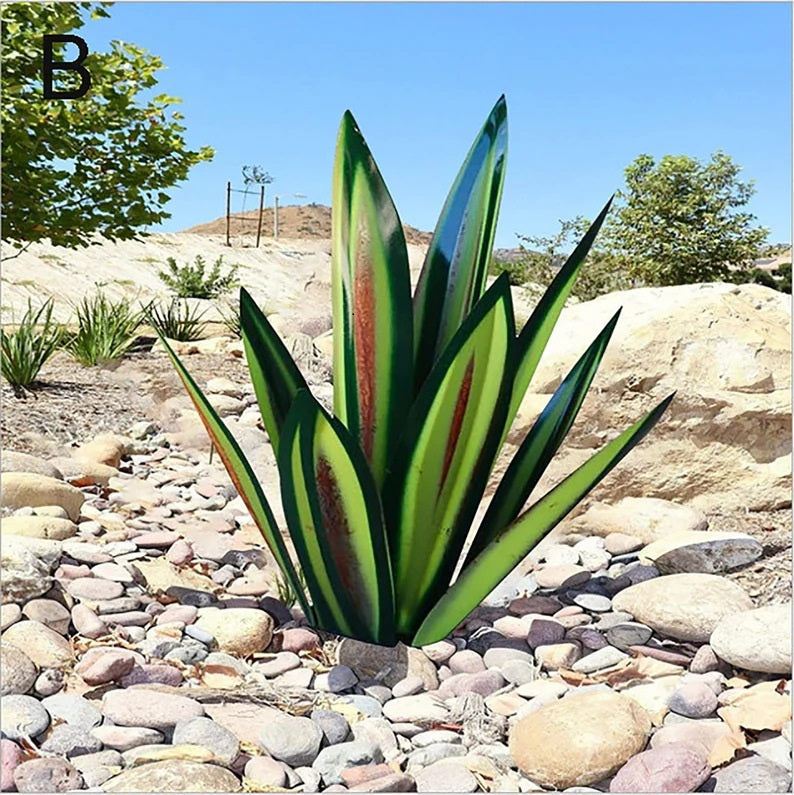 Plantes d'agave de Sherem Metal Tequila